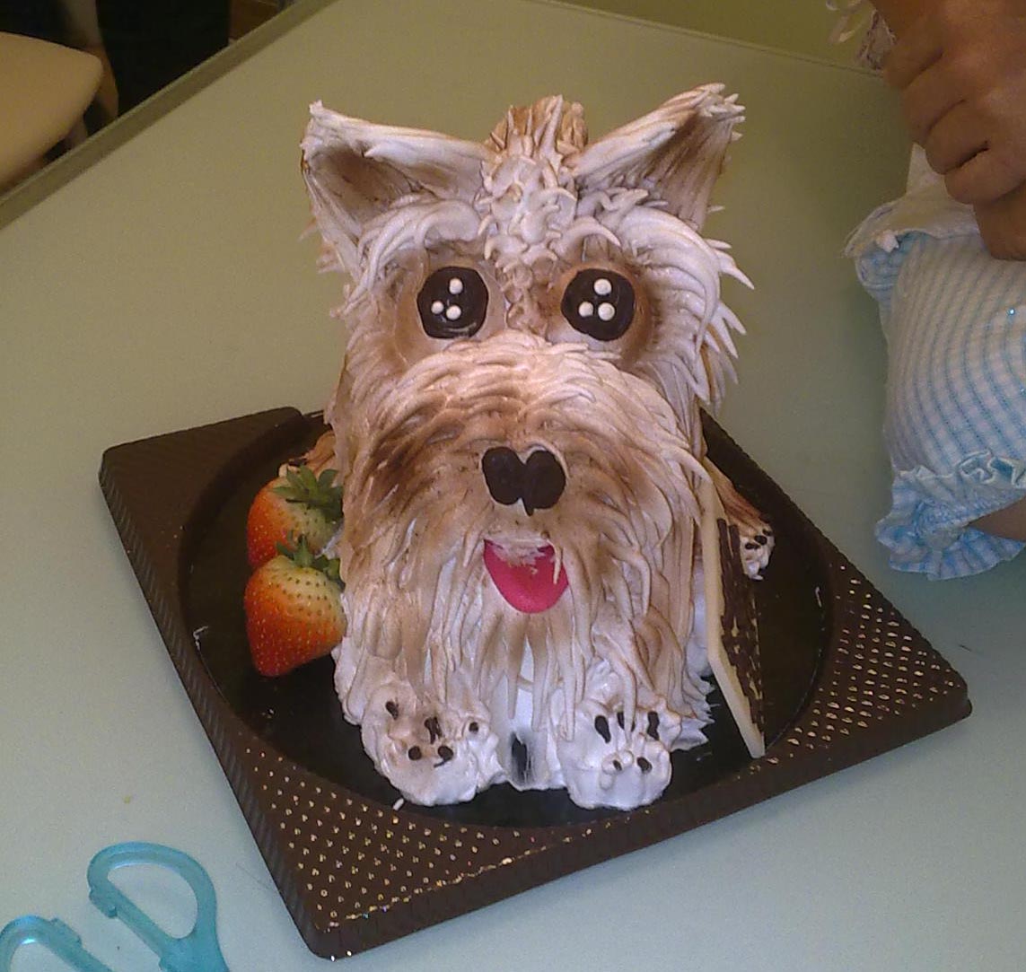 宠物狗狗的蛋糕怎么做_宠物狗狗的蛋糕的做法_豆果美食